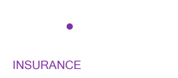 rapidzone white INSURANCE